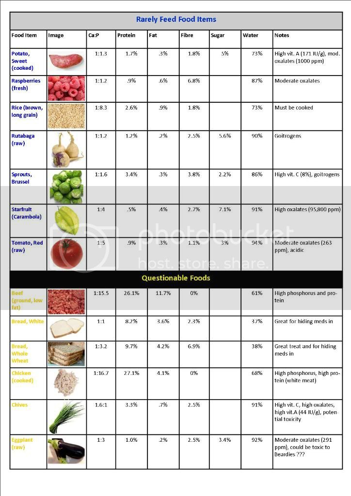 Food Chart With Pictures Bearded Dragon Forum