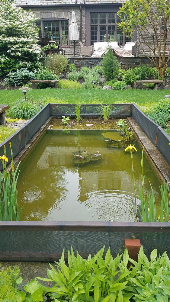 Formal Ponds AquaReale Koi Pond Installation Maintenance