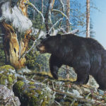 Jackson Hole Art Auction Black Bear