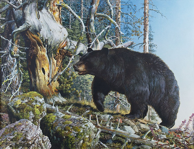 Jackson Hole Art Auction Black Bear