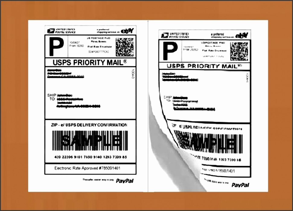 10 Usps Shipping Label Template Free SampleTemplatess 