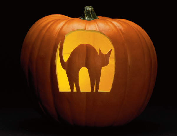 12 Free Pumpkin Carving Templates Fun Family Crafts