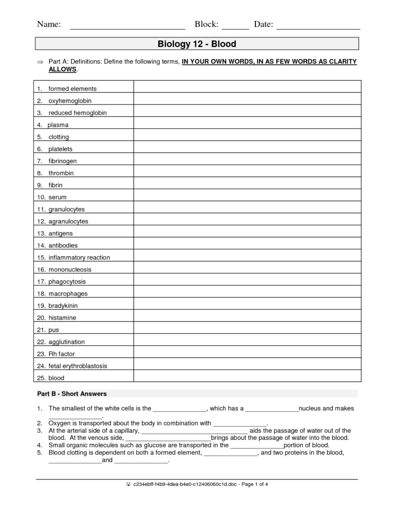 15 Best Images Of Blood Cells And Functions Worksheets