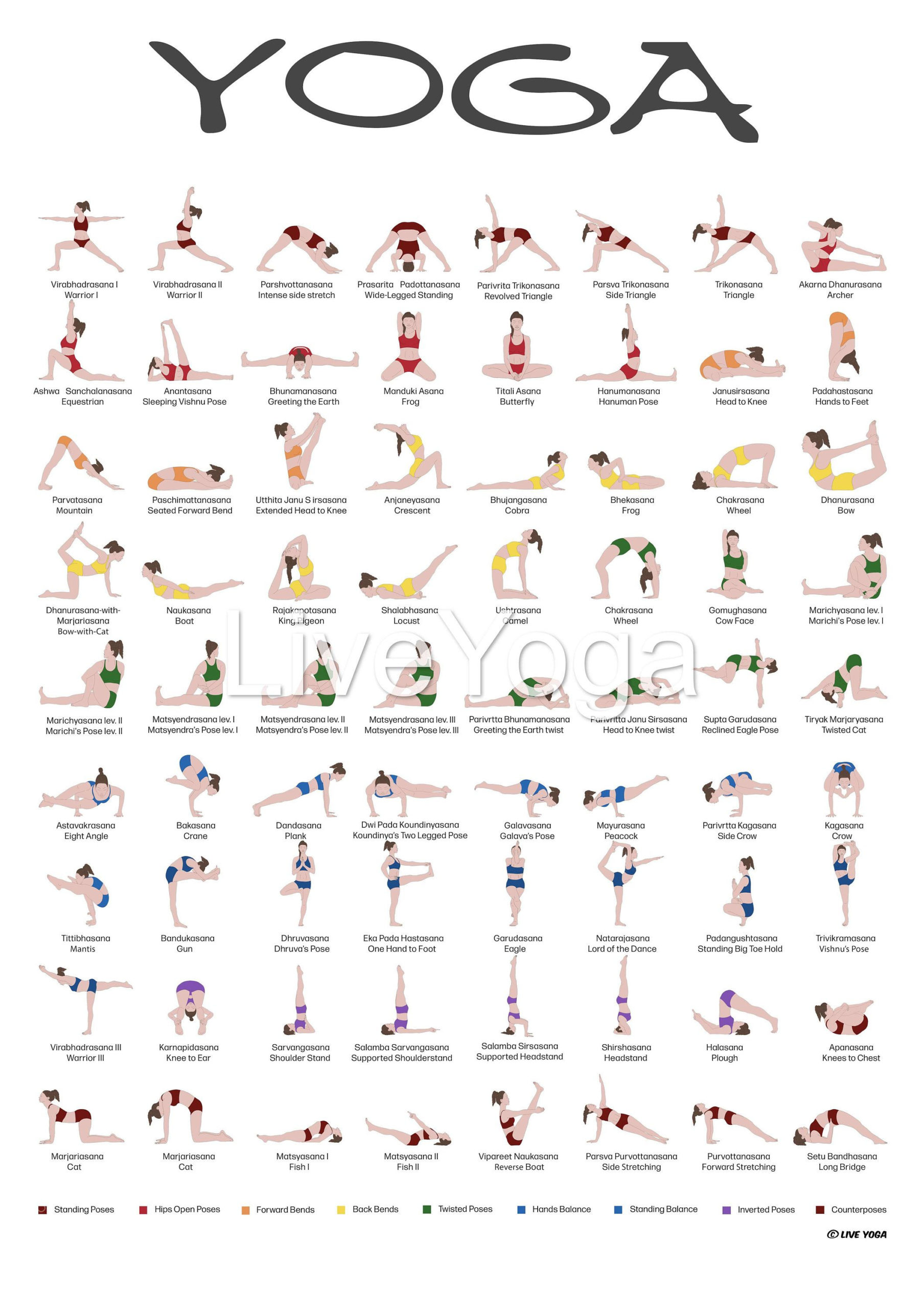 Beginner Free Printable Hatha Yoga Poses Chart Full Body 