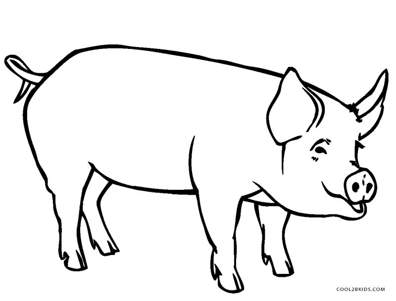 Free Printable Pig Coloring Pages For Kids