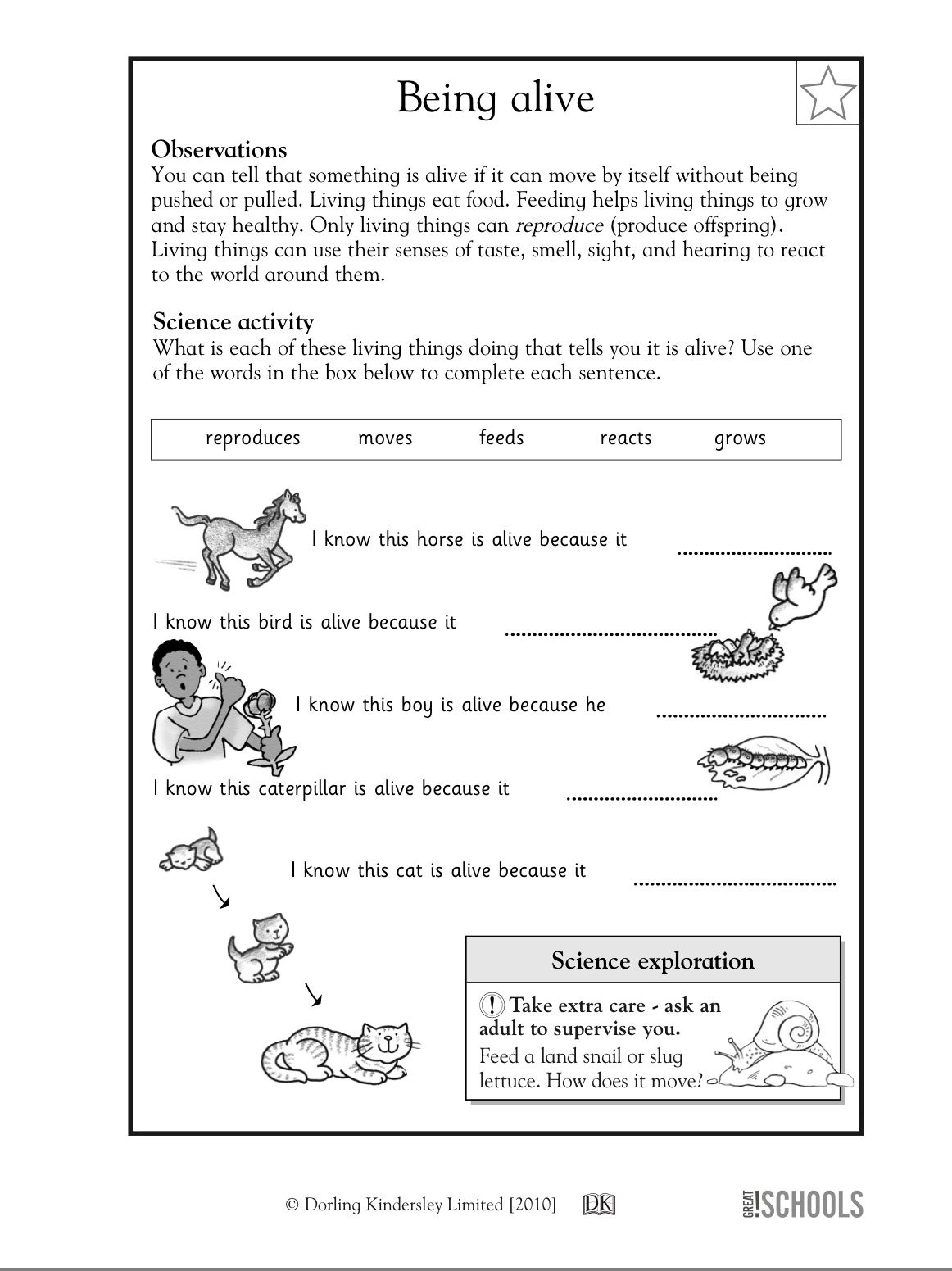 Free Printable Science Worksheets For 2Nd Grade Free