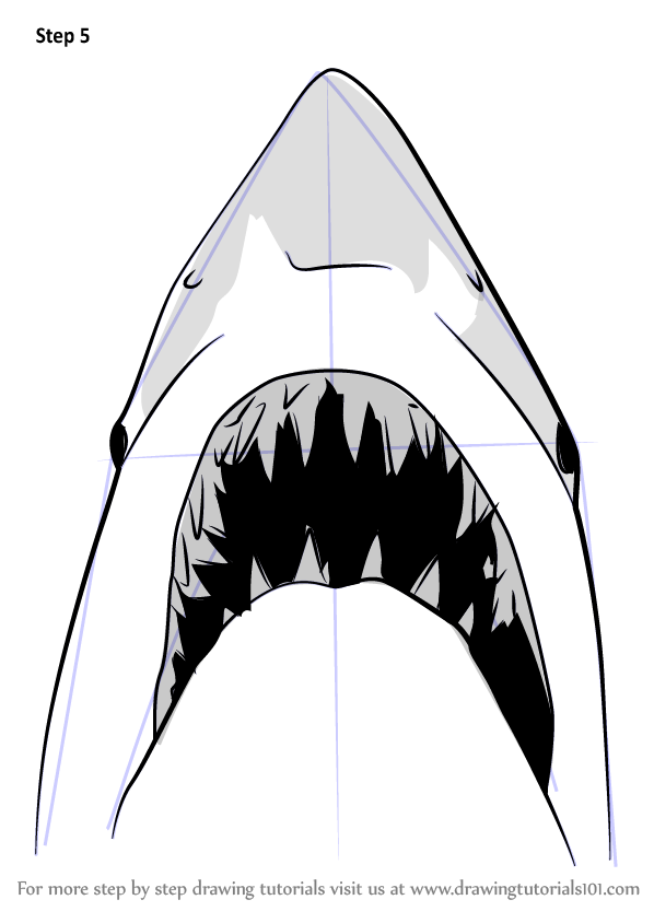 Learn How To Draw Jaws Shark Other Animals Step By Step 