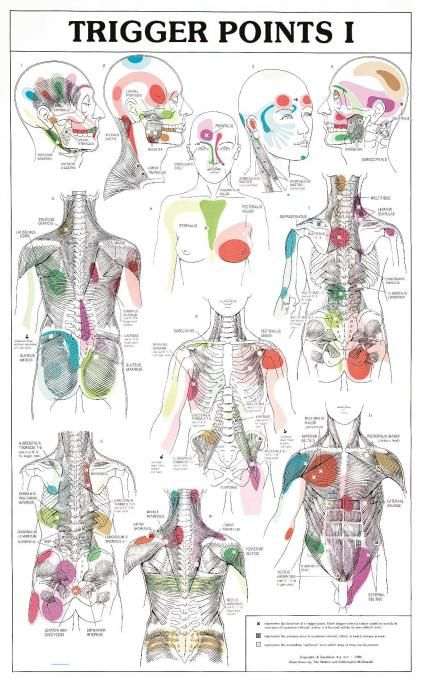 Massage Trigger Points Chart Trigger Points Massage 