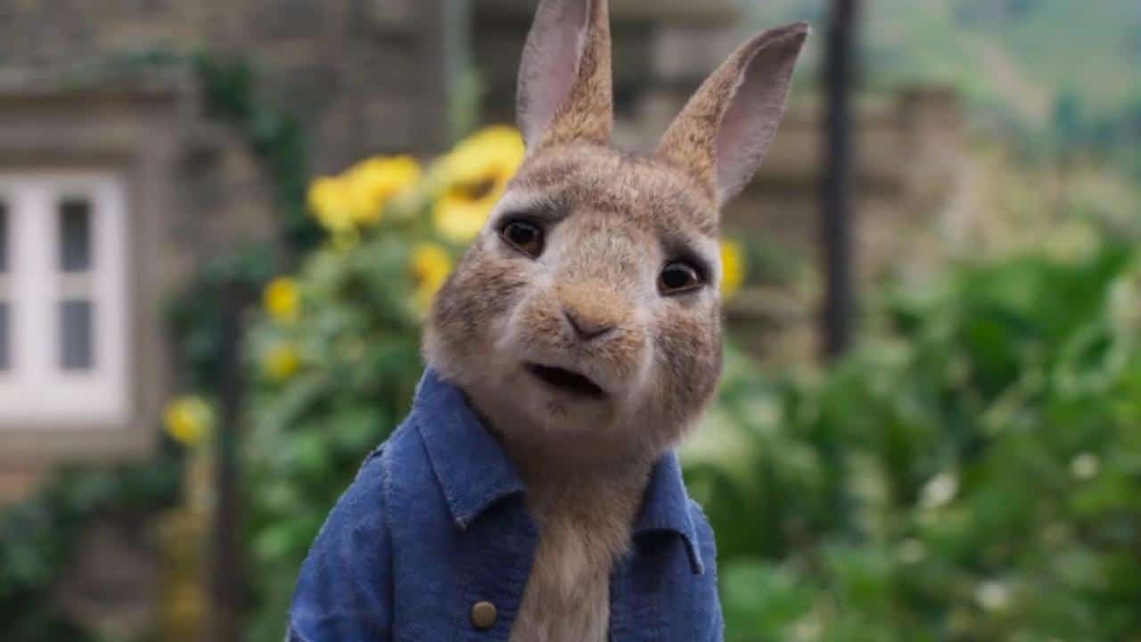 Peter Rabbit 2 Brought Forward Again In Release Schedules 