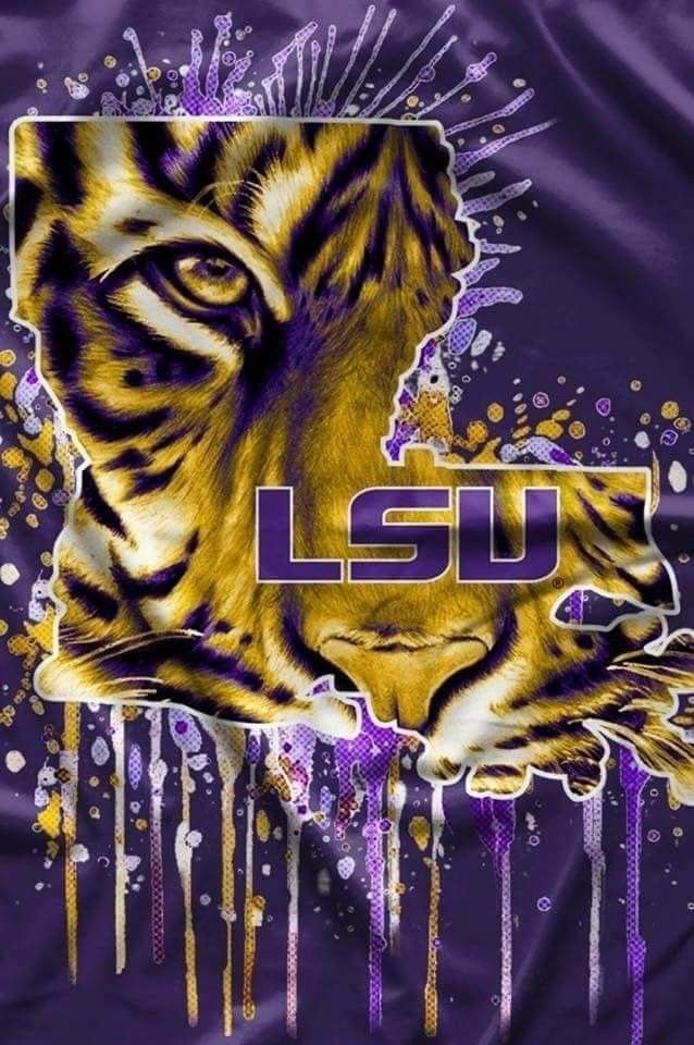 Pin By Lisi Holman On LSU Lsu Tigers Football Lsu 