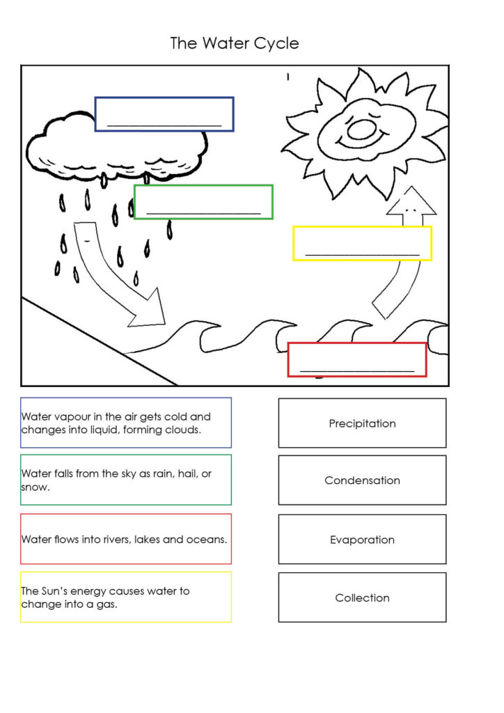 Science Worksheets For Grade 2 To Educations Science | FreePrintableTM.com