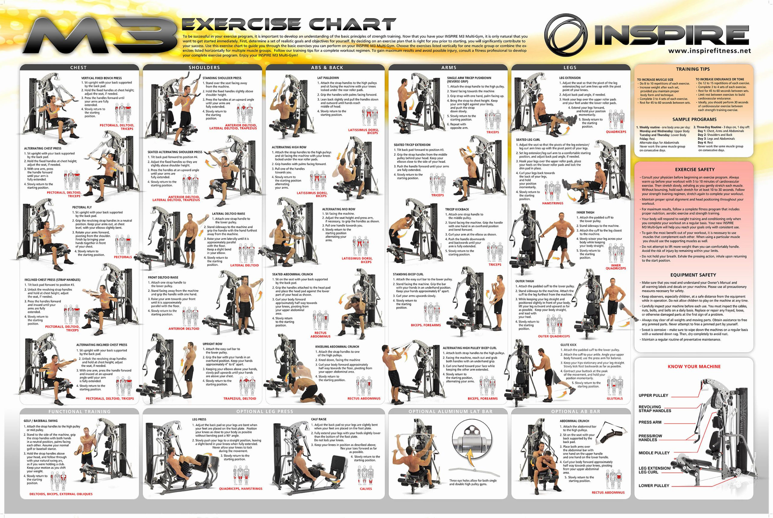 Skillful Total Gym Exercise P90X Progress Chart Marcy Gym 