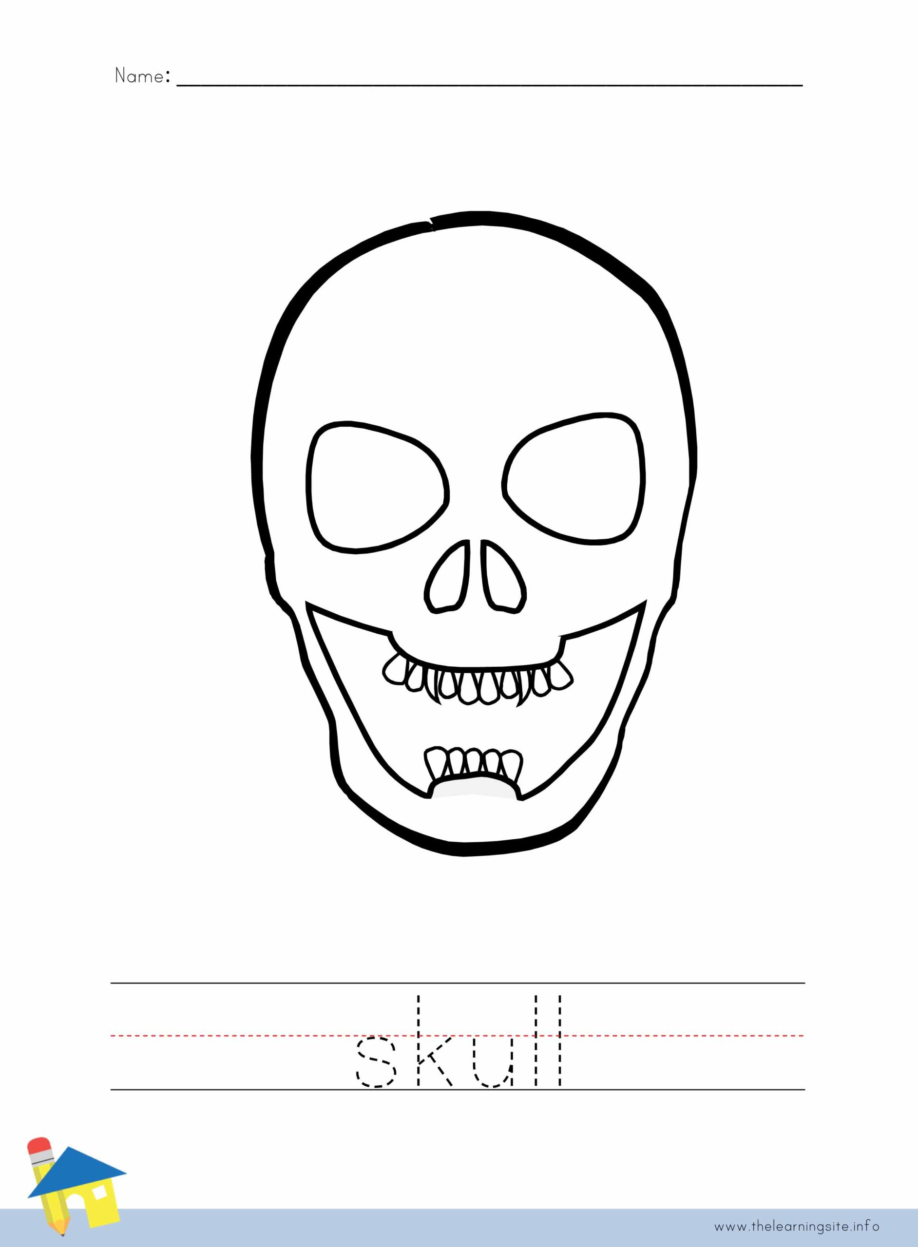 Skull Worksheets Printable