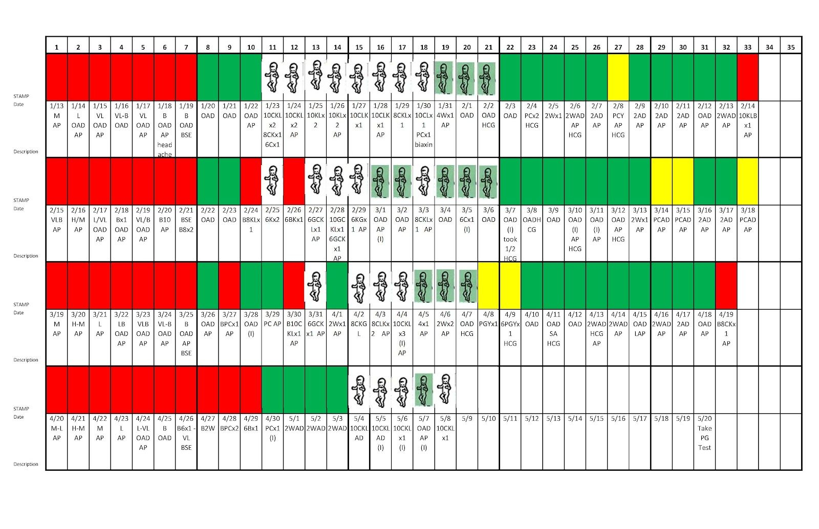 Creighton Model Chart Printable FreePrintableTM