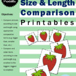 The Very Hungry Caterpillar Theme Free Comparing Size And