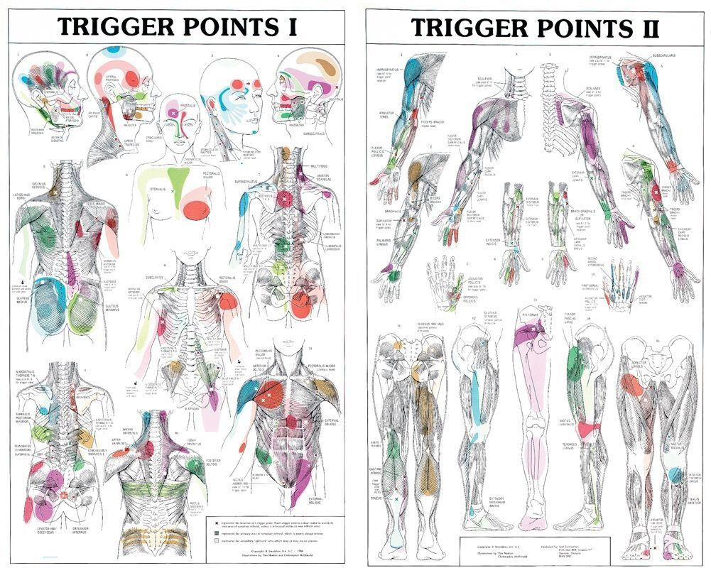 Trigger Points Trigger Points Reflexology Foot Chart 