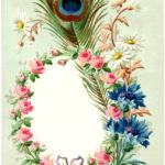 Vintage Peacock Feather Frame Image The Graphics Fairy