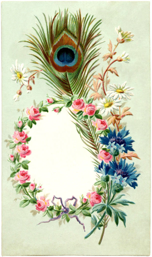 Vintage Peacock Feather Frame Image The Graphics Fairy