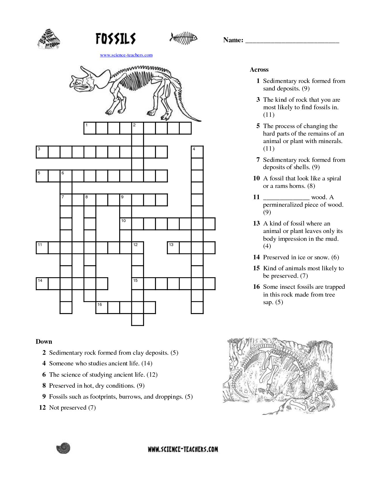 11 Best Images Of Fossils Activities Worksheets Fossil 