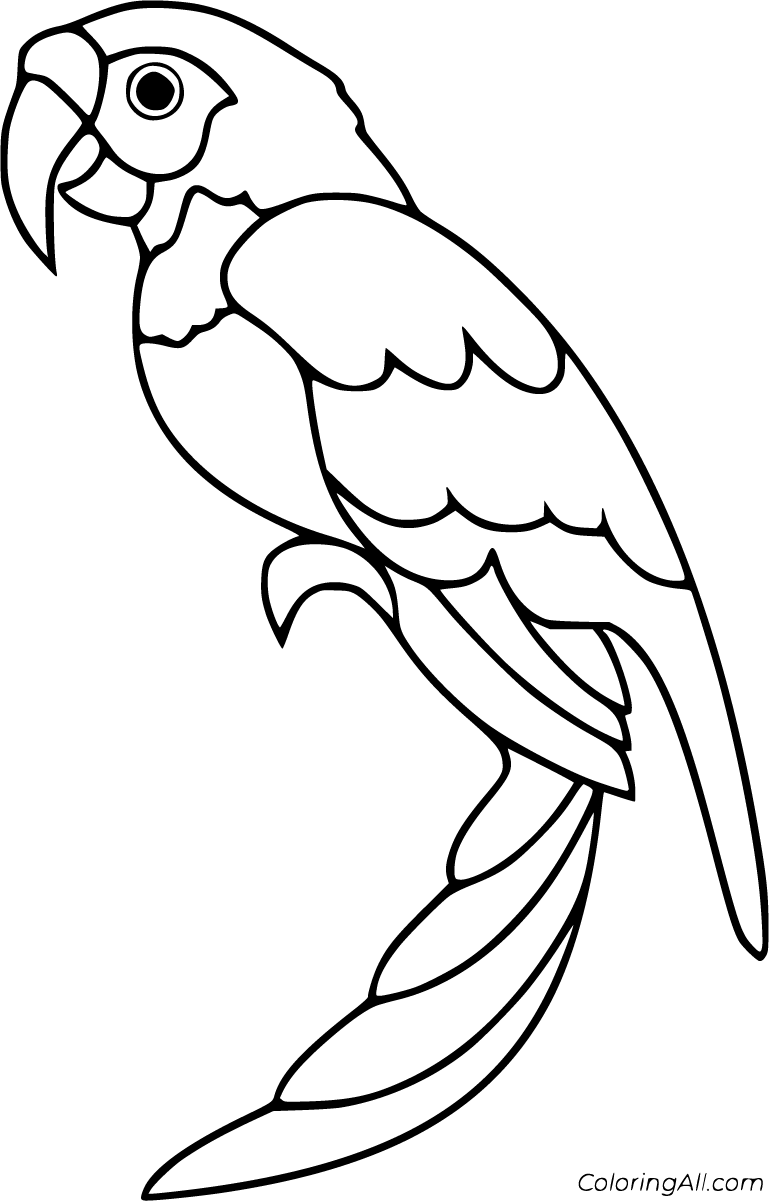 25 Free Printable Parrot Coloring Pages In Vector Format 