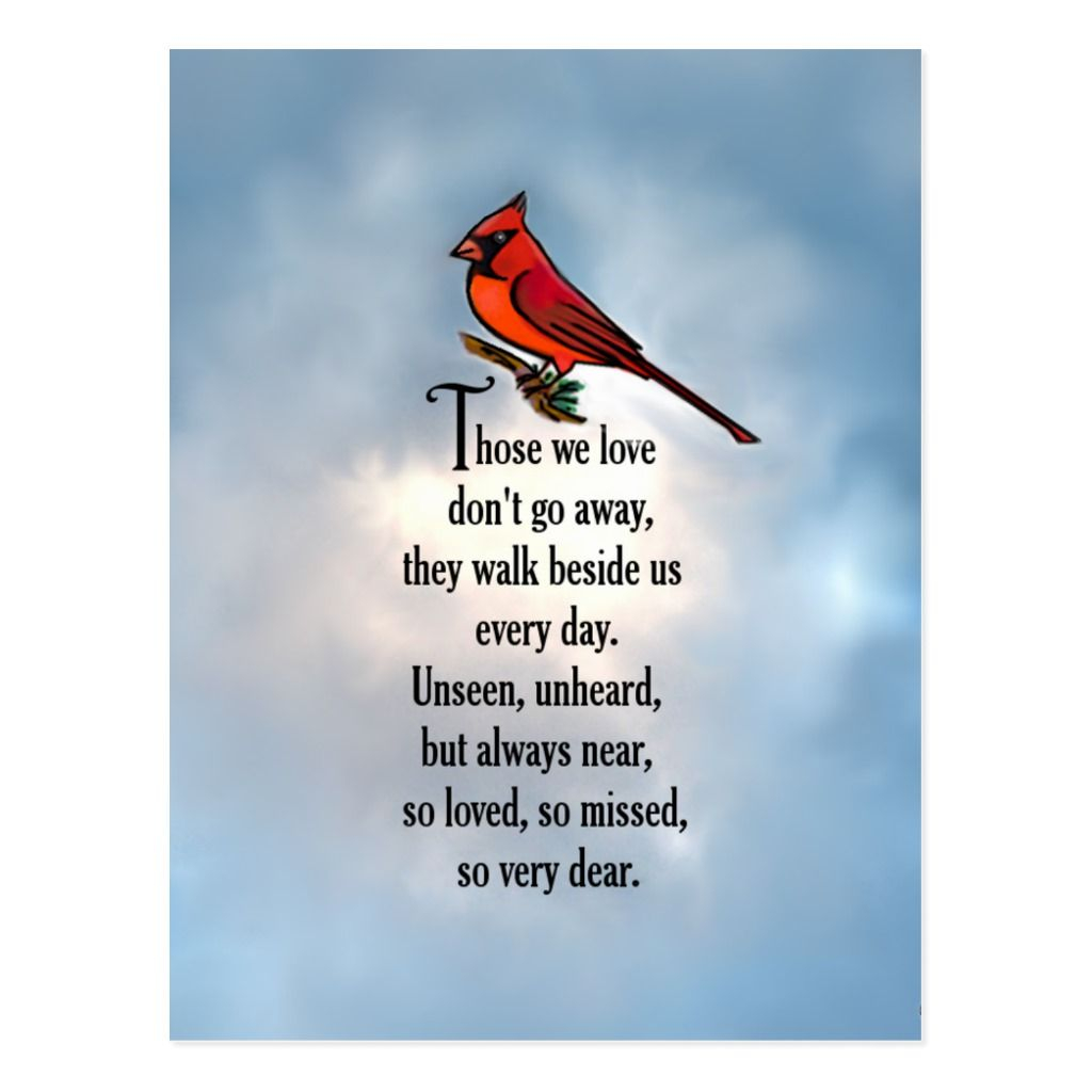 Cardinal So Loved Poem Postcard Zazzle Love 