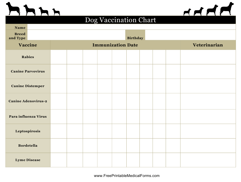 Dog Vaccination Chart Download Printable PDF Templateroller