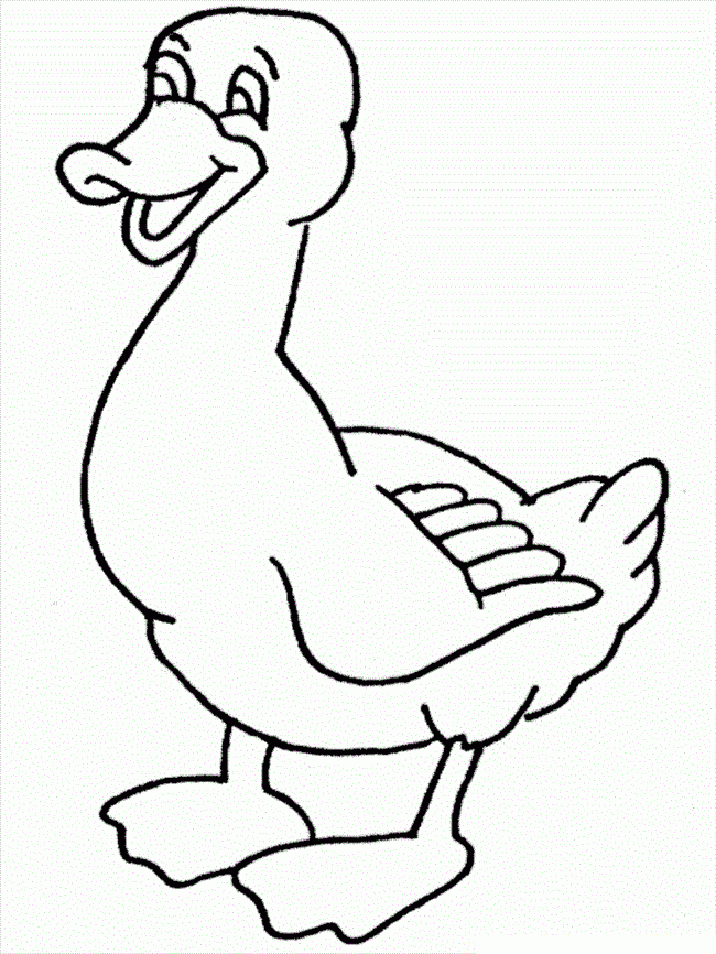 Free Printable Duck Coloring Pages For Kids