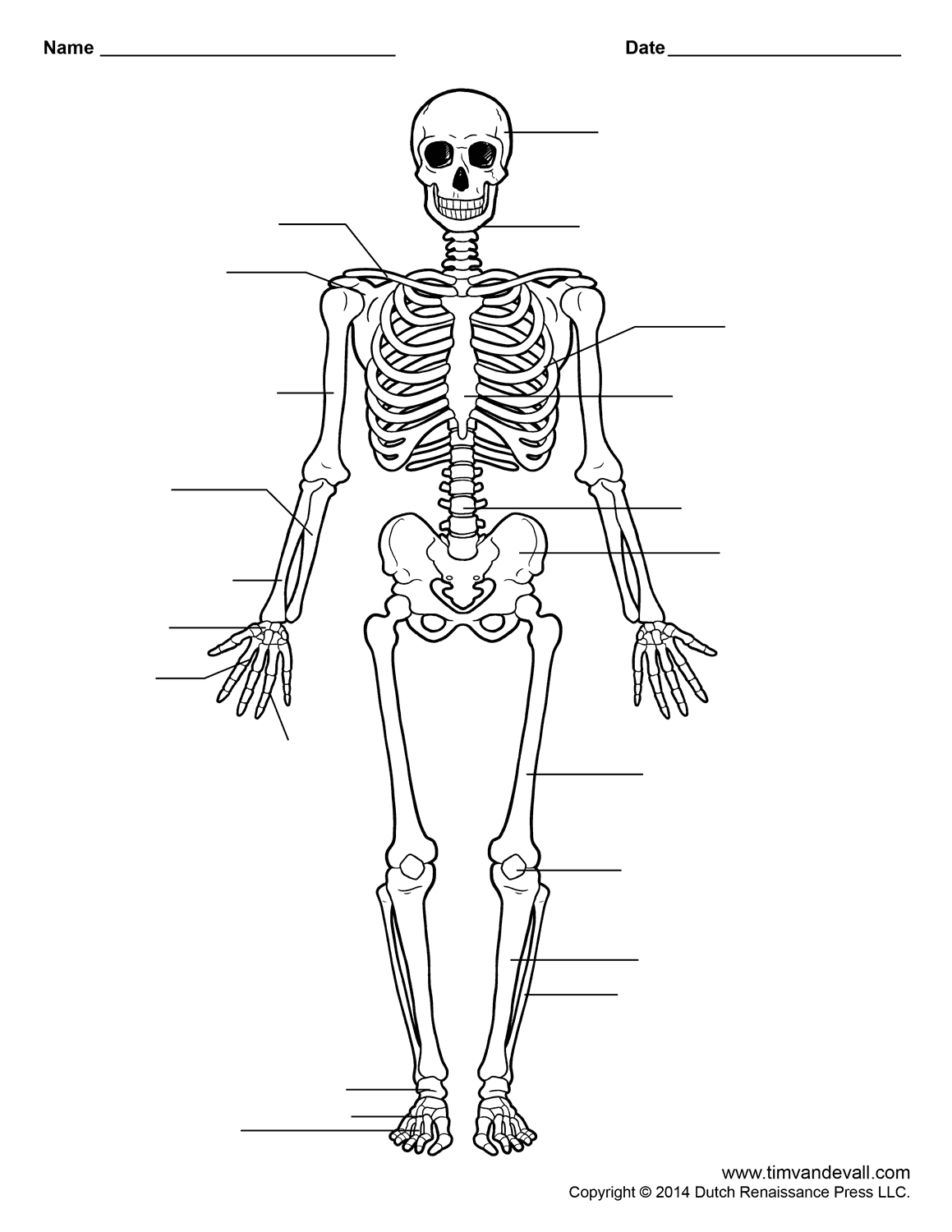 Free Printable Human Anatomy Worksheets Free Printable