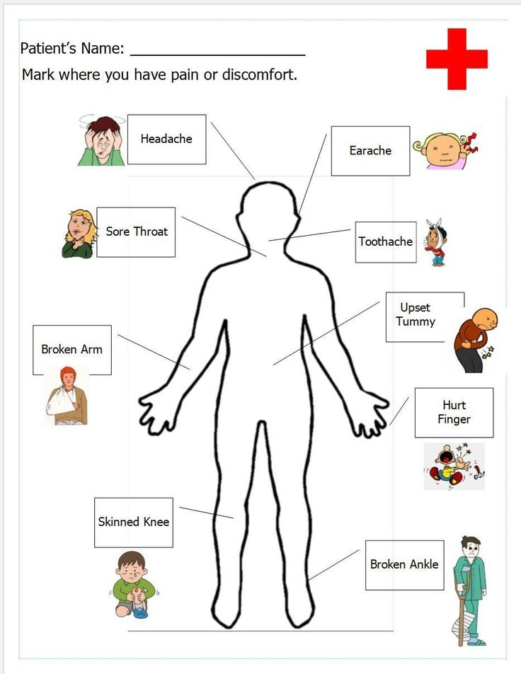 Free Printable Human Anatomy Worksheets The Human Body 