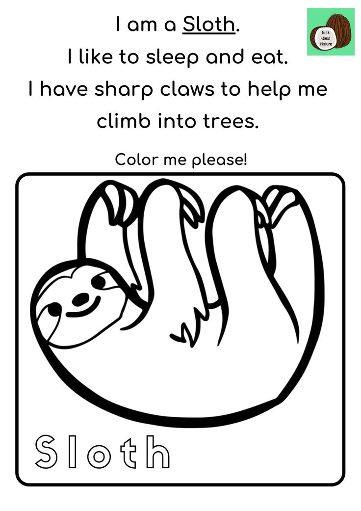 Free Sloth Read And Color Activity Sheet Color 