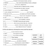 French Grammar Practice Exercises French Worksheets