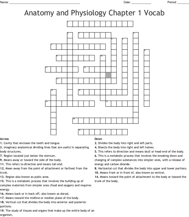 human-anatomy-crossword-puzzle-printable-printable-freeprintabletm