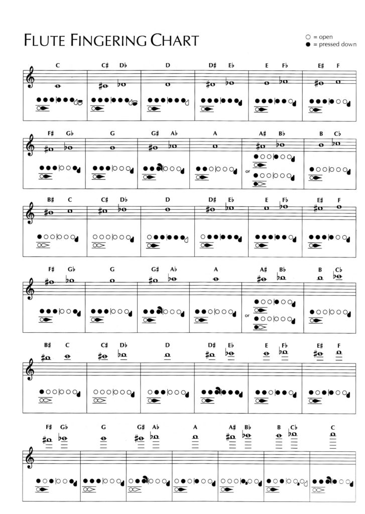 Printable Flute Finger Chart FreePrintableTM Com