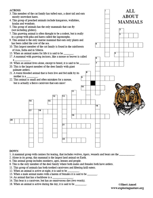 Mammals Crossword Puzzle Adults 