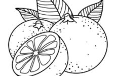 Mandarin Coloring Pages To Download And Print For Free