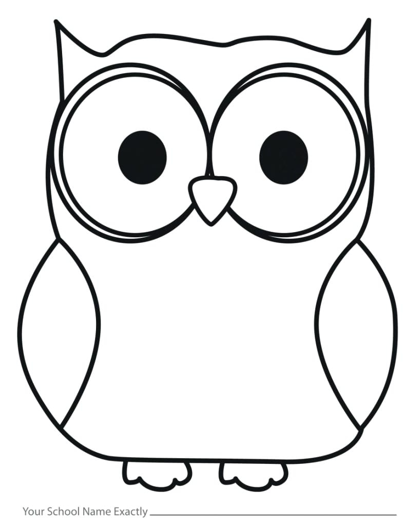 Outline Drawing Of Owl 16 Cartoon NEO Coloring