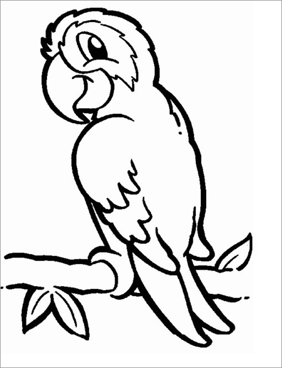 Parrot Coloring Pages ColoringBay