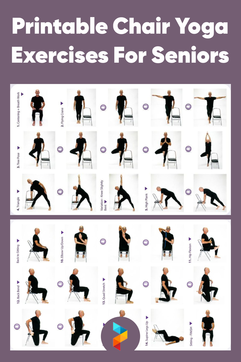 Printable Chair Yoga Exercises For Seniors In 2021 Chair 