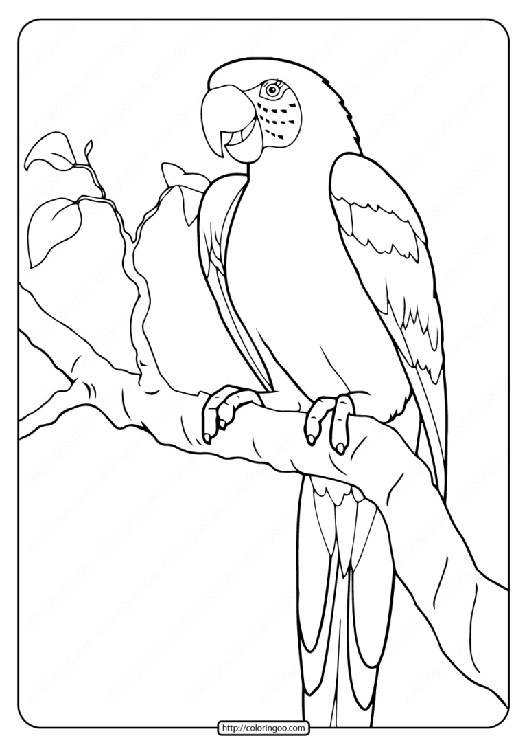 Printable Parrot Coloring Pages