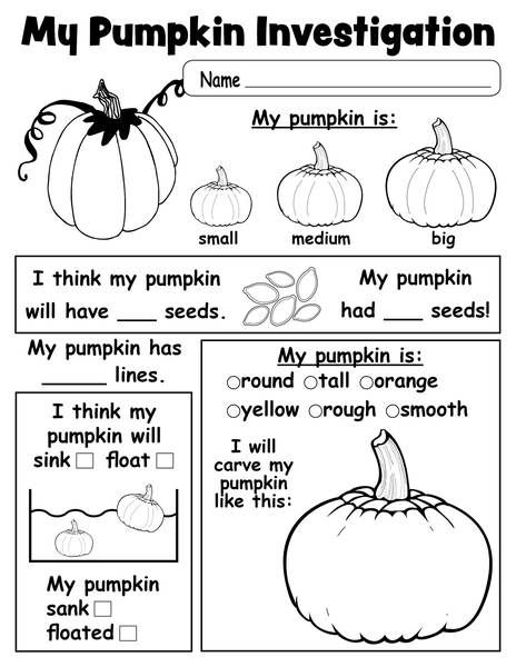 Pumpkin Investigation Worksheet Printable 