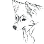 Siberian Husky Coloring Pages At GetColorings Free