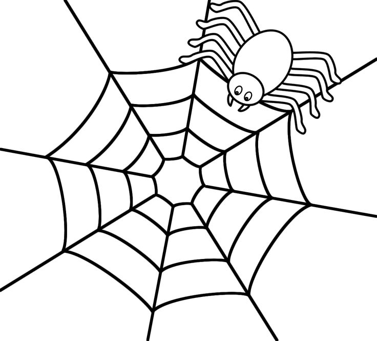 Spider Web Coloring Pages For Kids Only Coloring Pages 