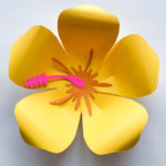 SVG DXF PNG Petal 101 Hibiscus Paper Flower Template Diy