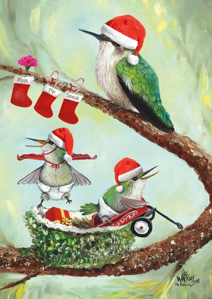 BRAND NEW Hummingbird Christmas Cards Christmas Art 