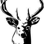 Deer Skull Clip Art Clipartion
