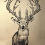 Elk Head Google Search Elk Drawing Moose Art Drawings