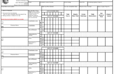 Form 07 6058 Download Printable PDF Or Fill Online BI