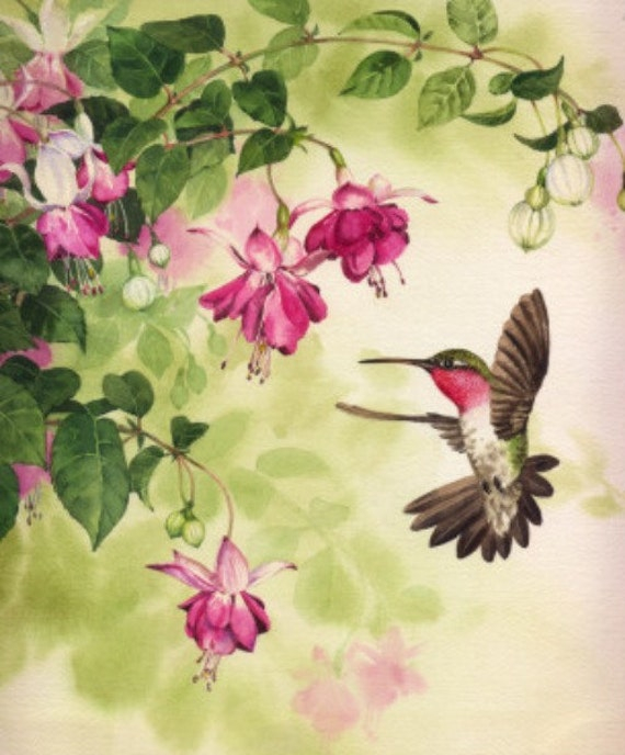 Hummingbird With Flowers Cross Stitch Pattern Pdf Format