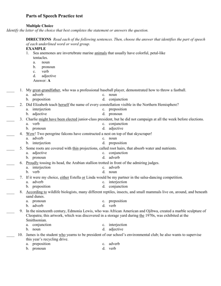 Parts Of Speech Practice Test Db excel