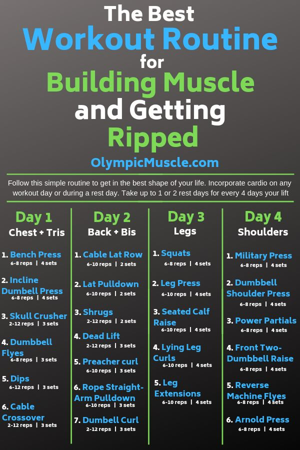 Pin On Olympic Muscle Blog Posts